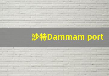 沙特Dammam port